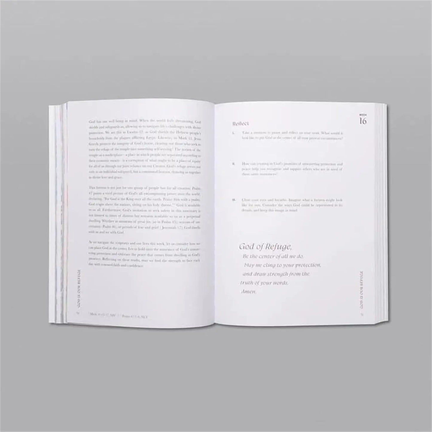 A Beautiful Year in the Bible