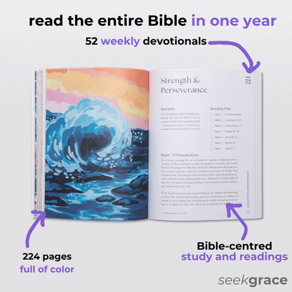 A Beautiful Year in the Bible